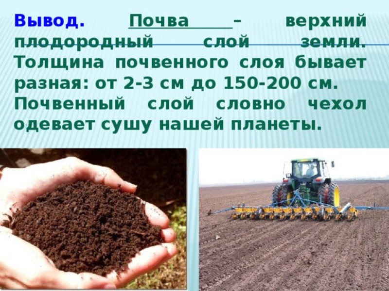 Какая почва менее плодородна. Почва вывод. Плодородный слой почвы. Грунт верхний слой. Почва это верхний плодородный слой земли.